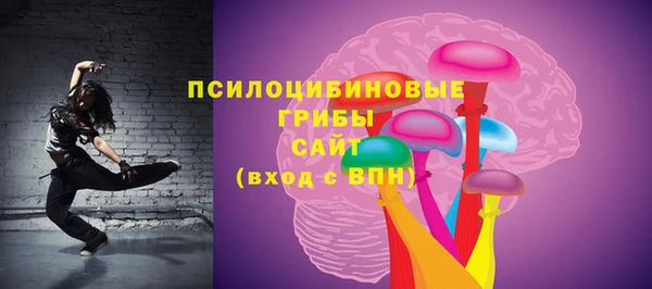 индика Зеленодольск