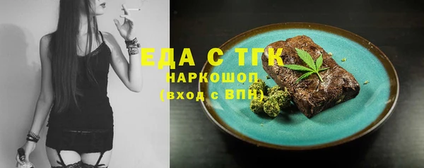 индика Зеленодольск