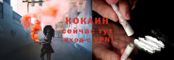 индика Зеленодольск