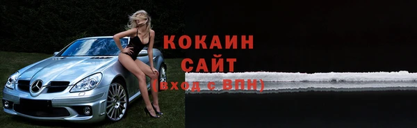 индика Зеленодольск