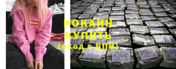 индика Зеленодольск