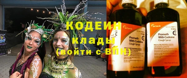 индика Зеленодольск