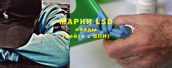 индика Зеленодольск