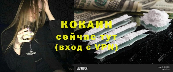индика Зеленодольск